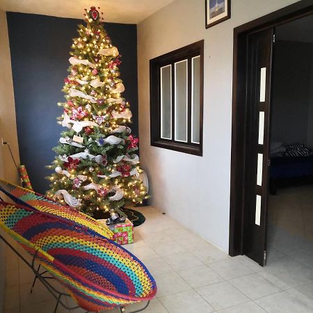 Montealban House Bed & Breakfast Oaxaca ภายนอก รูปภาพ