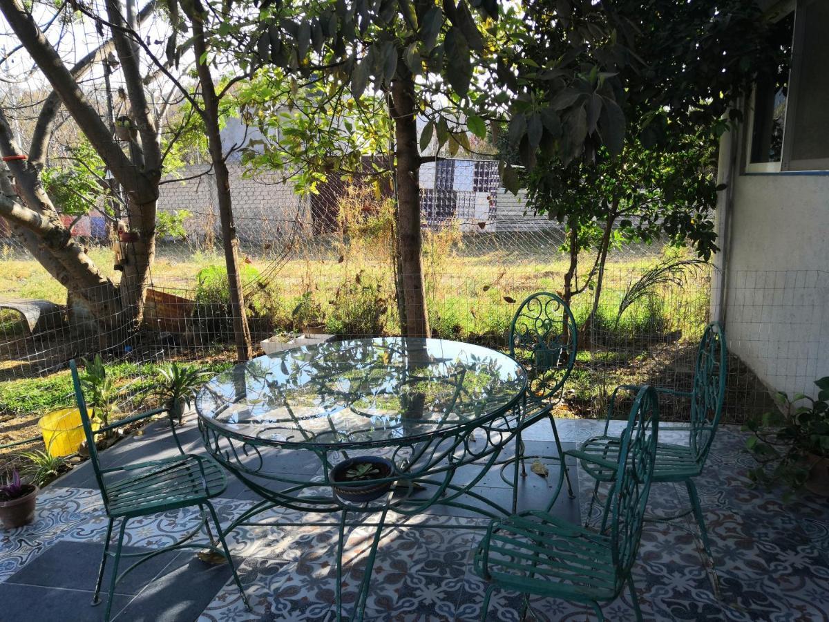 Montealban House Bed & Breakfast Oaxaca ภายนอก รูปภาพ