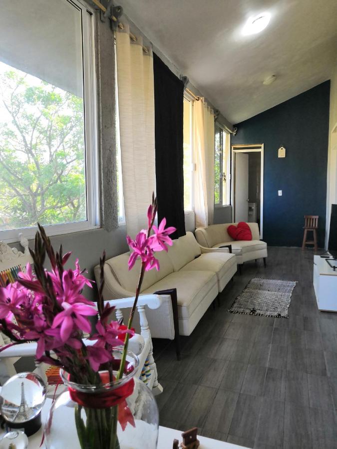 Montealban House Bed & Breakfast Oaxaca ภายนอก รูปภาพ